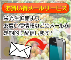 お買い得メールサービス!栄光生鮮館よりお買い得情報などのメールを定期的に配信します!